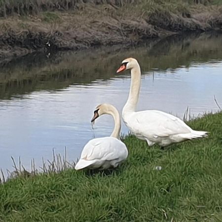 Delightful Cottage On The River Adur Close To Brighton & The Downs No Dogs Sorry Upper Beeding ภายนอก รูปภาพ