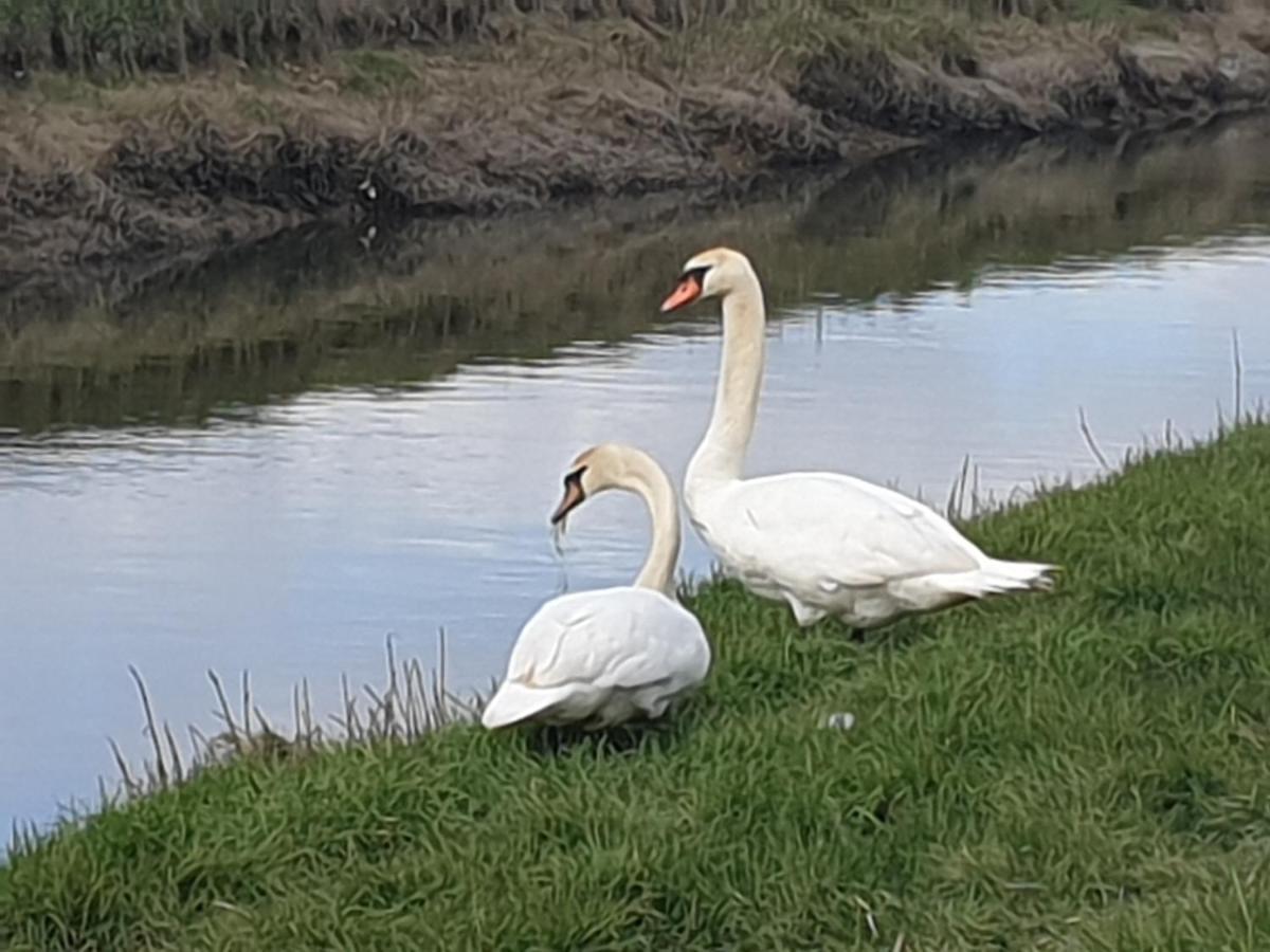 Delightful Cottage On The River Adur Close To Brighton & The Downs No Dogs Sorry Upper Beeding ภายนอก รูปภาพ
